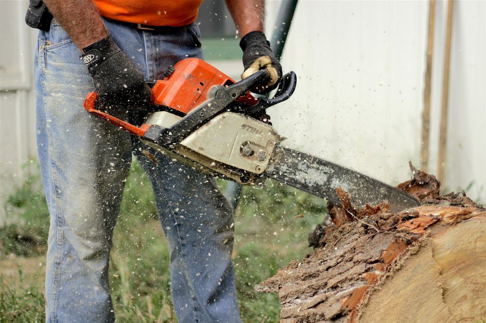 A chainsaw cutting through a log, sawdust flying