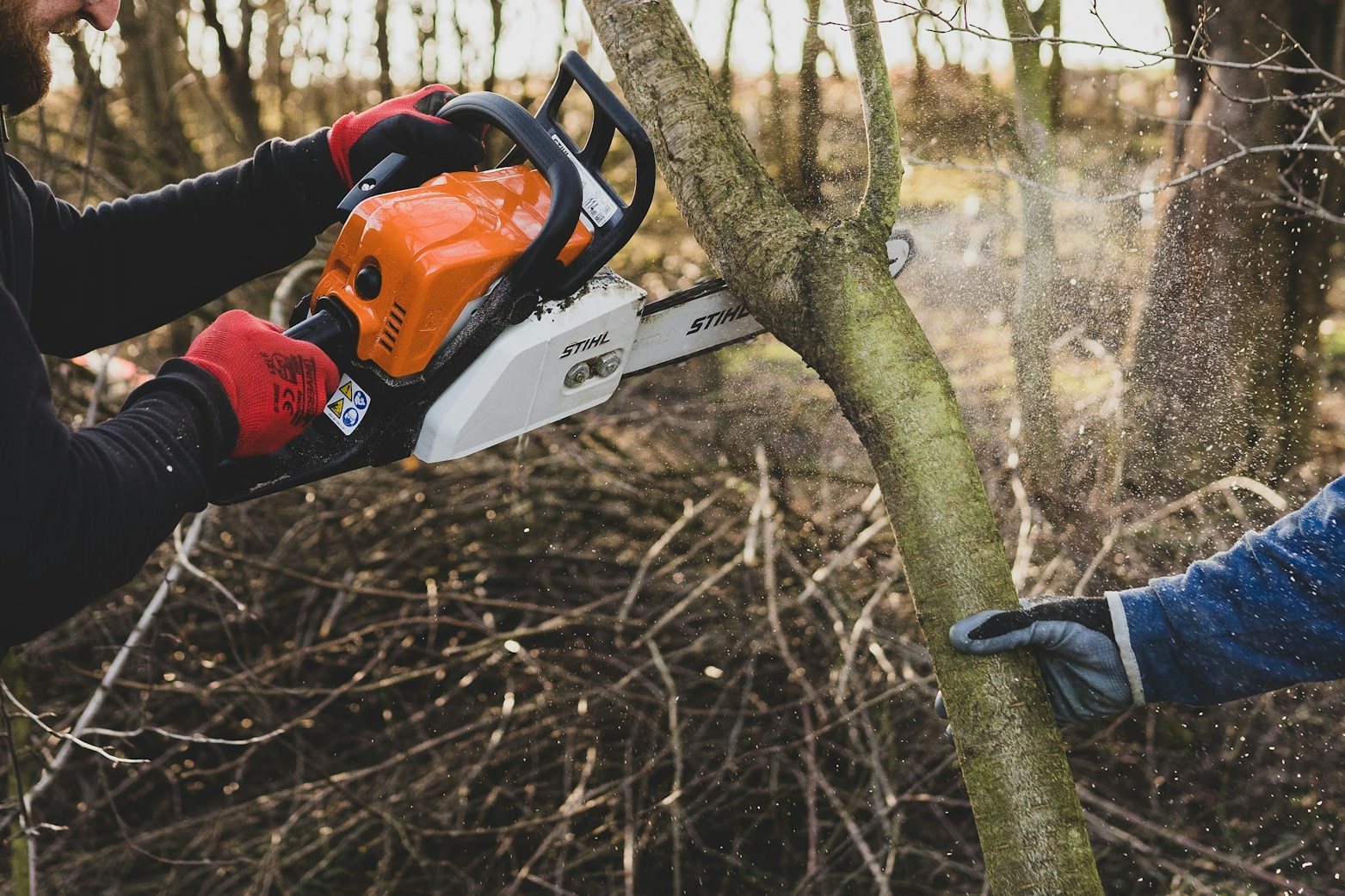 A worker limbing a felled trunk with a chainsaw