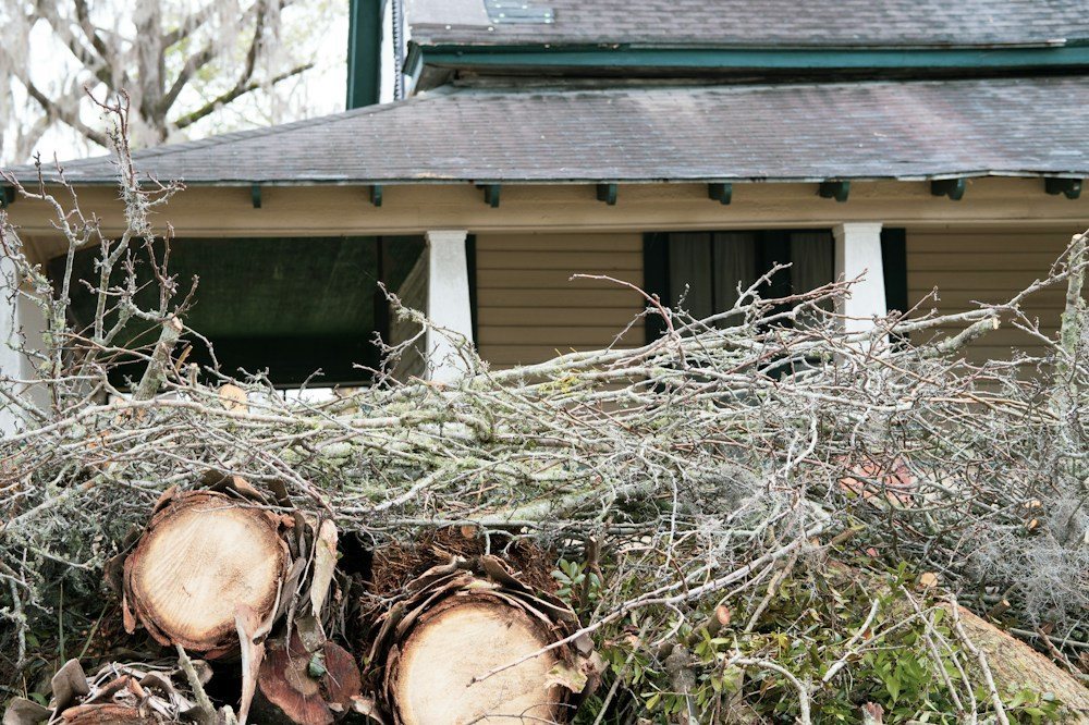 A cleared lot with a brush pile stacked at one edge