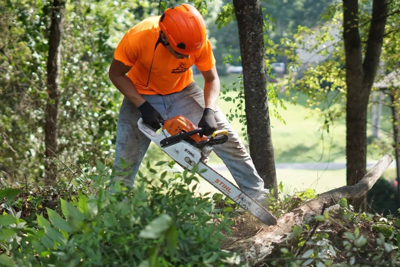A Tree Removal Marietta crew member cutting into a large trunk during an on-site job