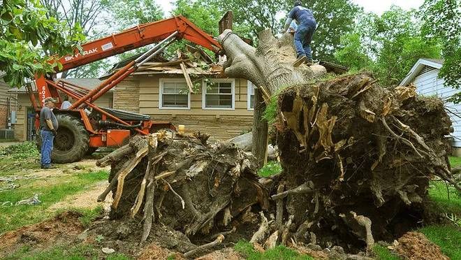Tree Removal Marietta crew performing a removal for a job near Mableton, GA