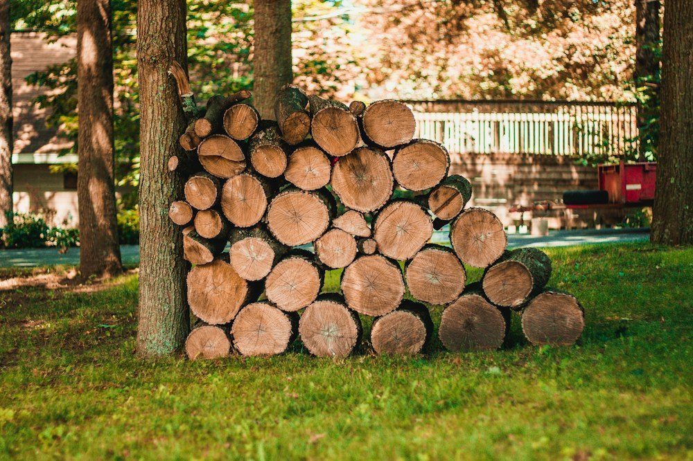 A pile of cut logs stacked at the curb after a removal