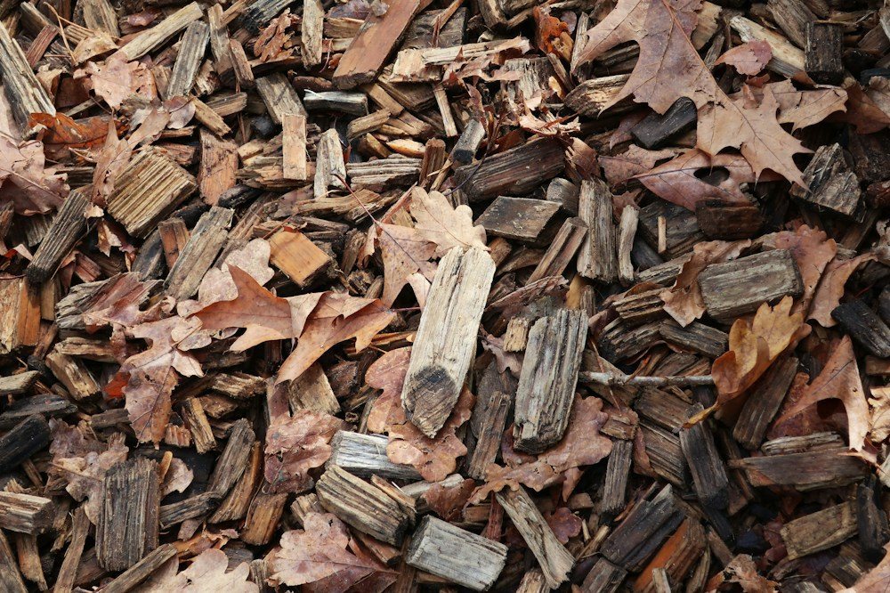 A mound of fresh stump grindings where a stump used to be